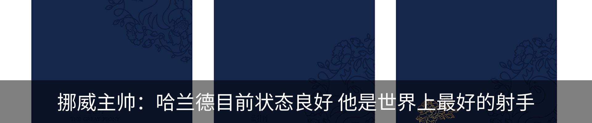 新闻动态